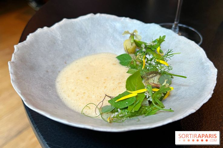 Chenapan - Légumes, herbes, rhubarbe