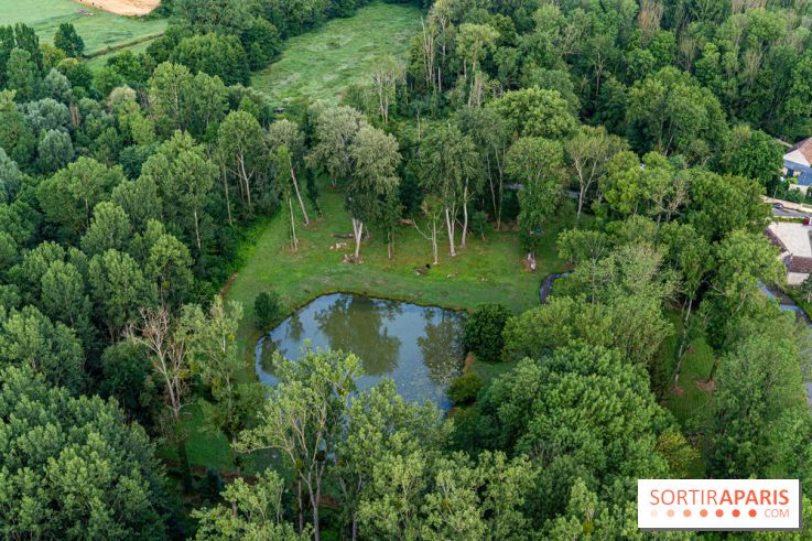 Montgolfière à Fontainebleau, vol au dessus de l'Ile-de-France -  A7C8986