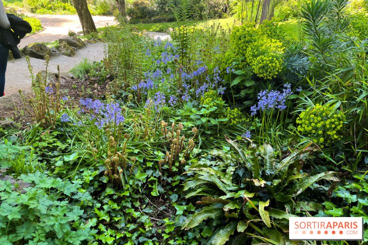 Le parc Kellerman, bijou de verdure dans le 13e arrondissement  - image00020
