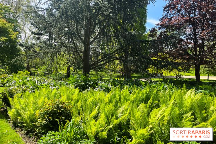 Le parc Kellerman, bijou de verdure dans le 13e arrondissement  - image00014