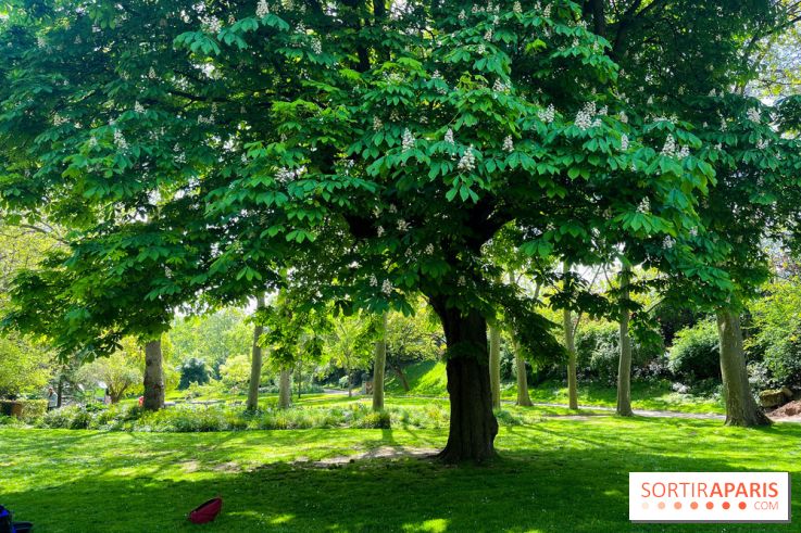 Le parc Kellerman, bijou de verdure dans le 13e arrondissement  - image00012