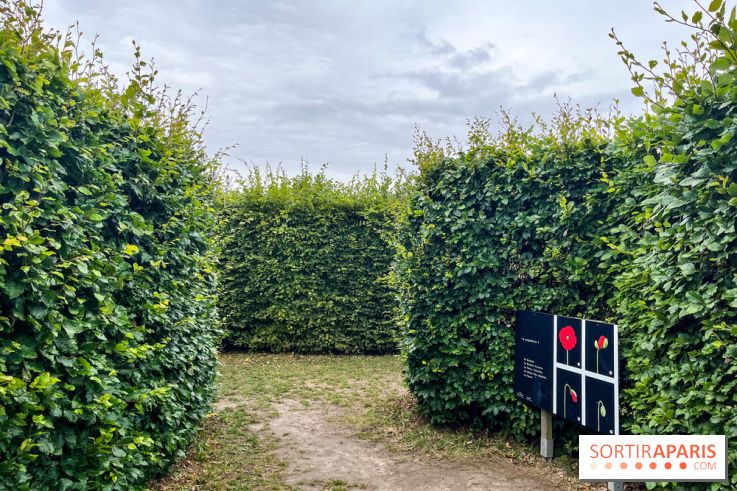 Les labyrinthes de Gally 2023
