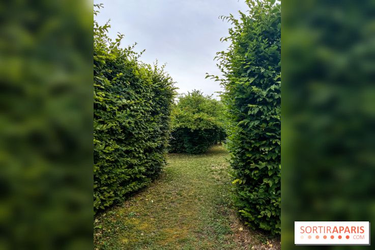 Les labyrinthes de Gally 2023