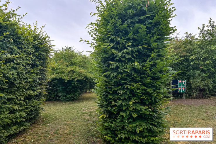 Les labyrinthes de Gally 2023