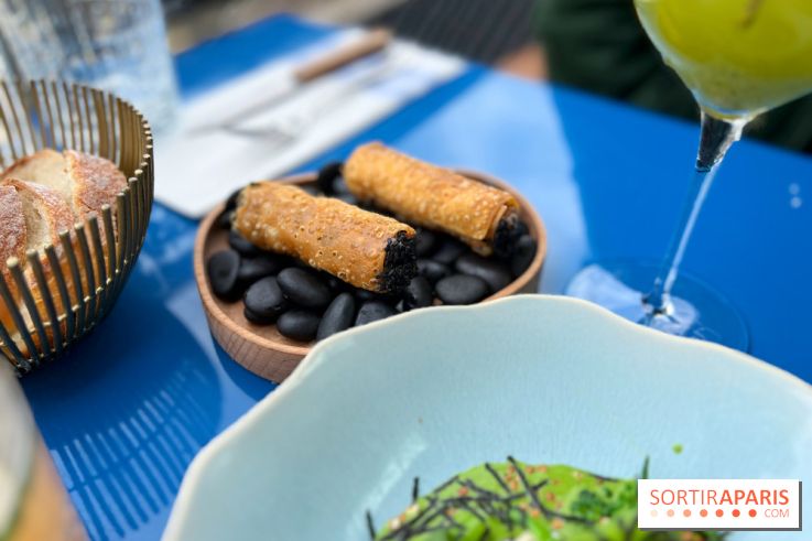 Riviera Fuga - Cannoli tartare de bœuf