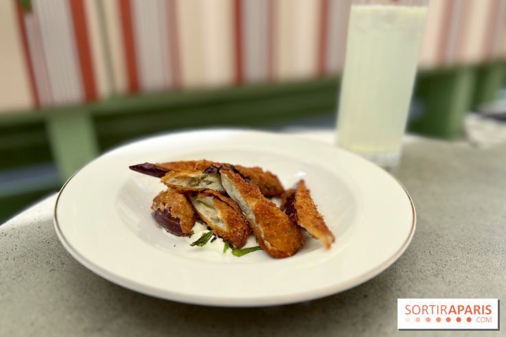 Braisenville - Aubergines frites