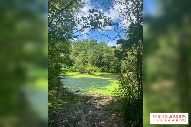 Le Parc forestier de la Poudrerie à Sevran - image00002