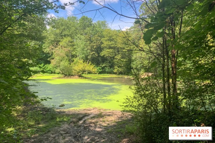 Le Parc forestier de la Poudrerie à Sevran