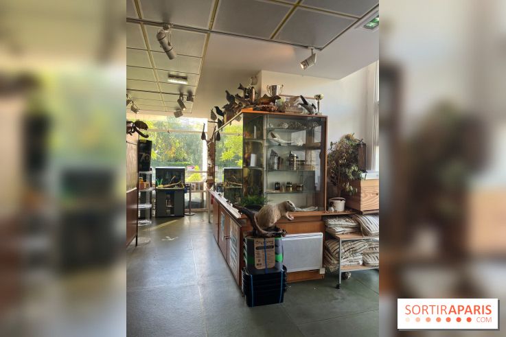 La Maison de la Pêche et de la Nature - image00026