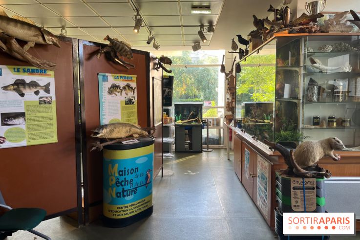 La Maison de la Pêche et de la Nature - image00027