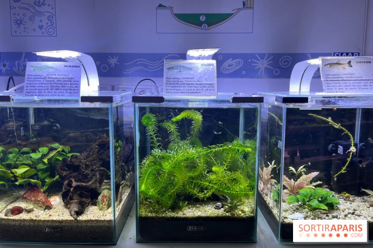 La Maison de la Pêche et de la Nature