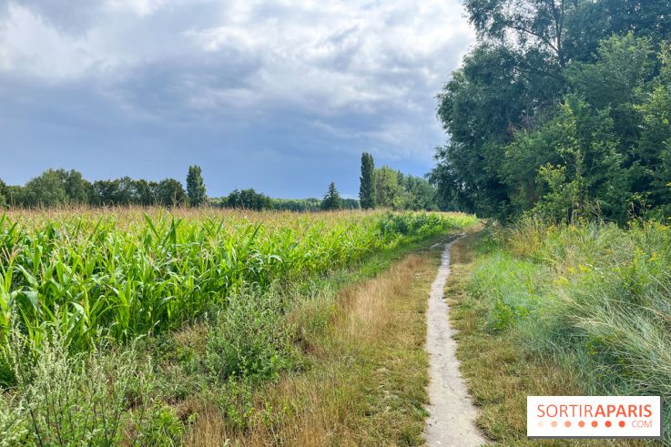 Le long de l'Oise, entre Auvers-sur-Oise et l'Isle-Adam