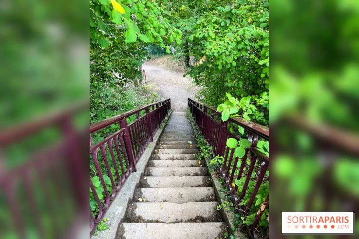 Le long de l'Oise, entre Auvers-sur-Oise et l'Isle-Adam - image00052