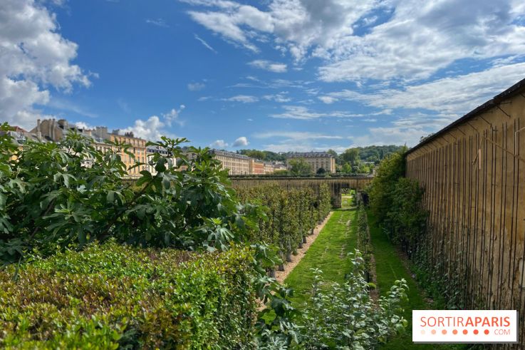 Potager du Roi