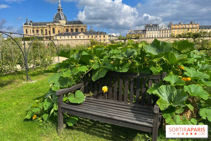 Potager du Roi - IMG 4231