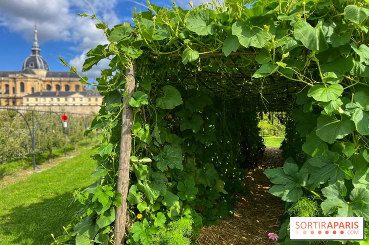 Potager du Roi