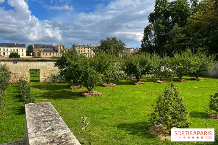 Potager du Roi - IMG 4240