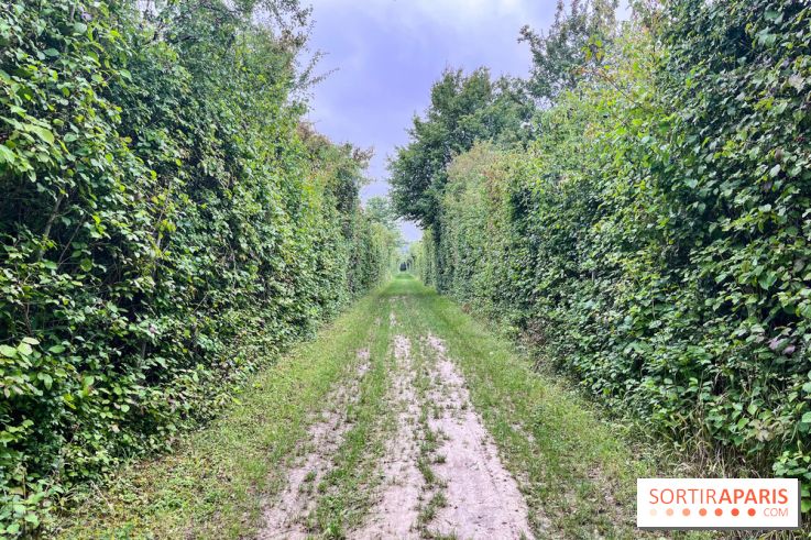 Le parc de la Haute-Île à Neuilly-sur-Marne - image00003