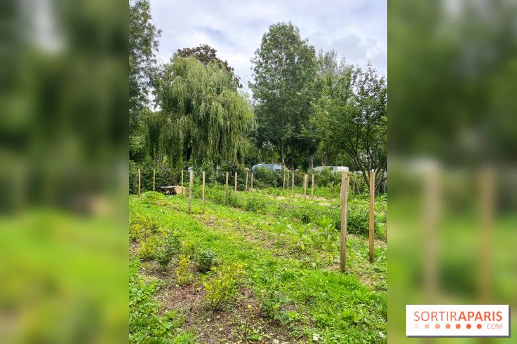 Les Rives de Paris, l'unique camping du 93 à Neuilly-sur-Marne