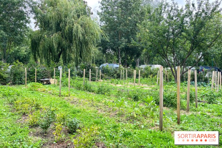 Les Rives de Paris, l'unique camping du 93 à Neuilly-sur-Marne