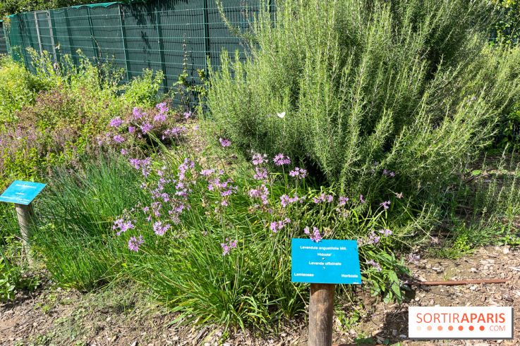 Le parc Georges Brassens, pour se croire à la campagne dans le 15e