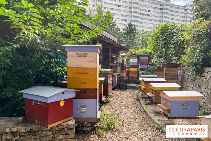 Le parc Georges Brassens, pour se croire à la campagne dans le 15e - image00022