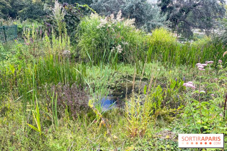 Le parc Georges Brassens, pour se croire à la campagne dans le 15e