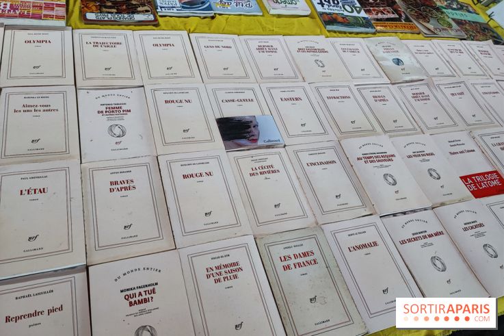 Marché du livre ancien et d'occasion - 122515