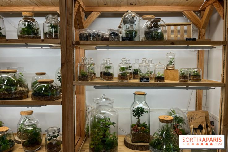 Boby la Plante - IMG 4332