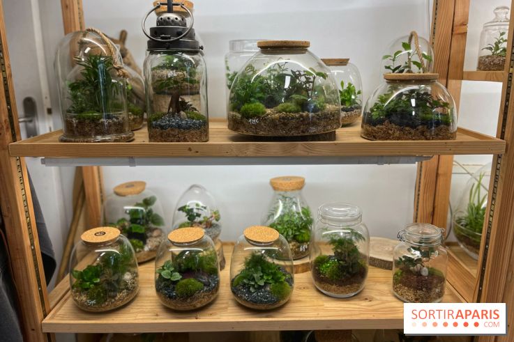 Boby la Plante - IMG 4334