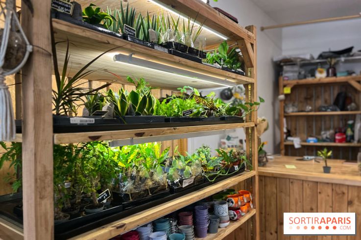 Boby la Plante - IMG 4338