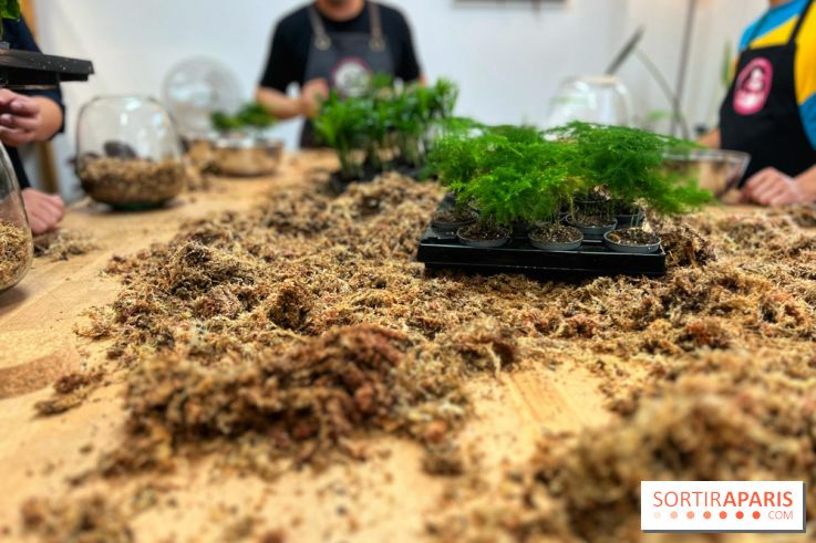 Boby la Plante - IMG 4340