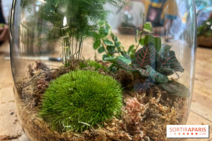 Boby la Plante