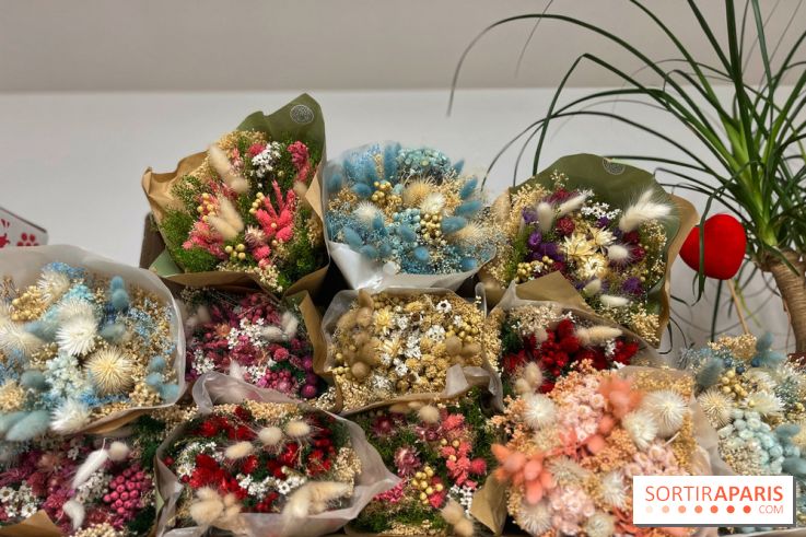 Boby la Plante - IMG 4353