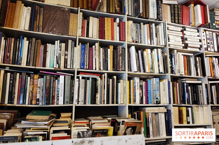 Librairie l'Odyssée - IMG 20230814 145517