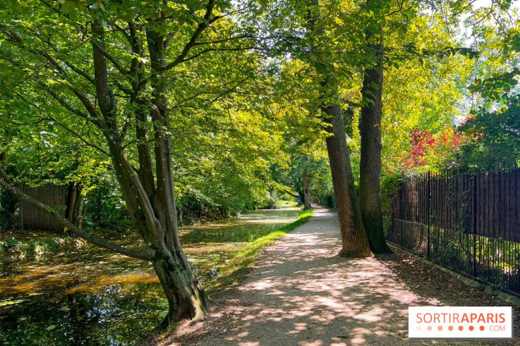 Les lacs et rivières du Vésinet, dans les Yvelines - image00030