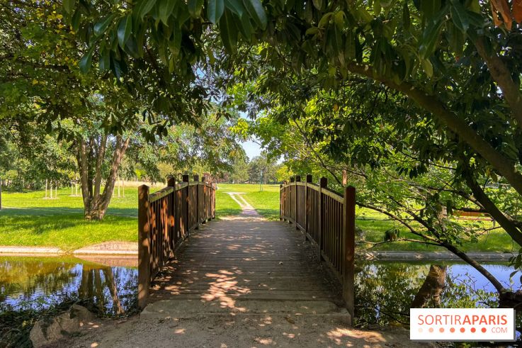 Les lacs et rivières du Vésinet, dans les Yvelines - image00063