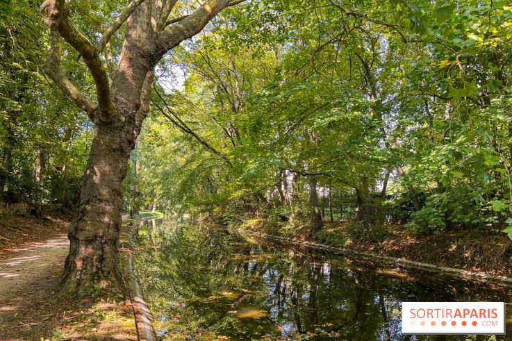 Les lacs et rivières du Vésinet, dans les Yvelines - image00065
