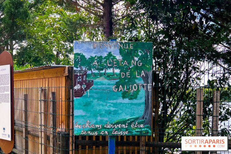 L'étang de la Galiotte dans le parc du Peuple de l'Herbe - Carrières-sous-Poissy (Yvelines) - image00005