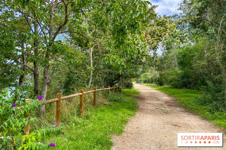 L'étang de la Galiotte dans le parc du Peuple de l'Herbe - Carrières-sous-Poissy (Yvelines) - image00021