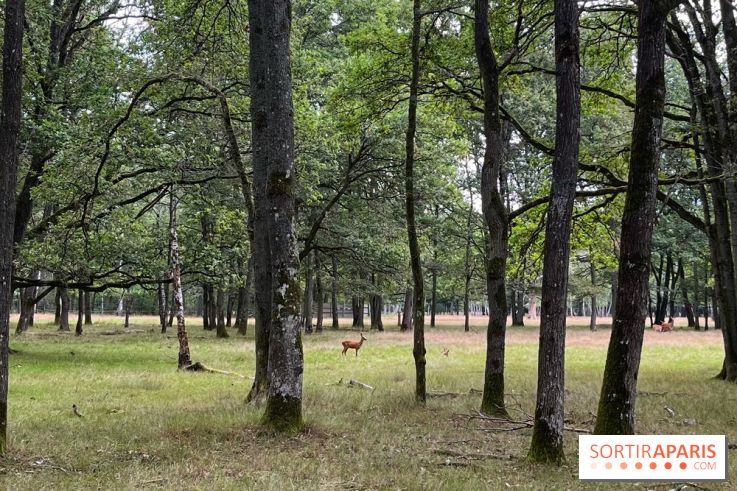 Espace Rambouillet