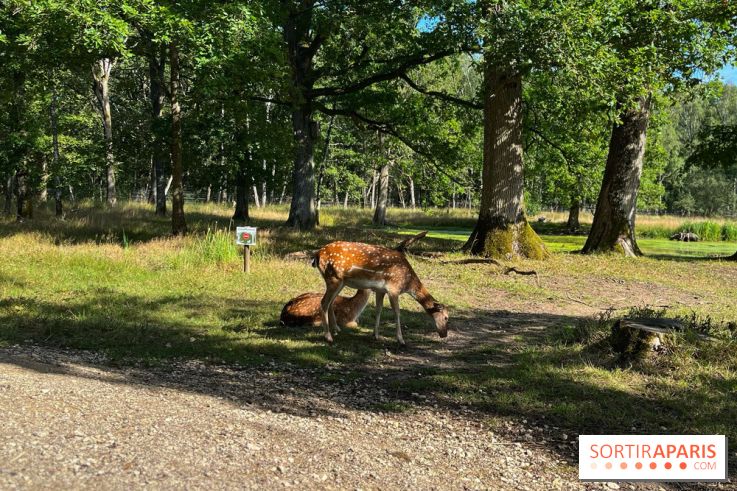 Espace Rambouillet - IMG 4425