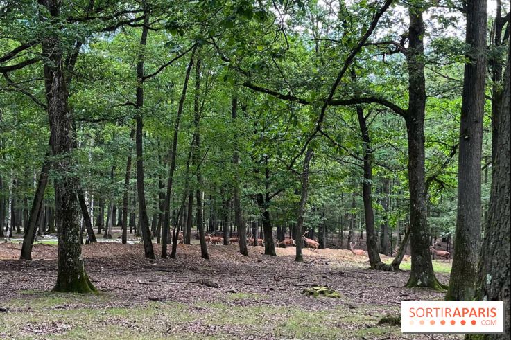Espace Rambouillet