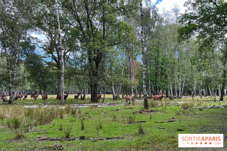 Espace Rambouillet - IMG 4529