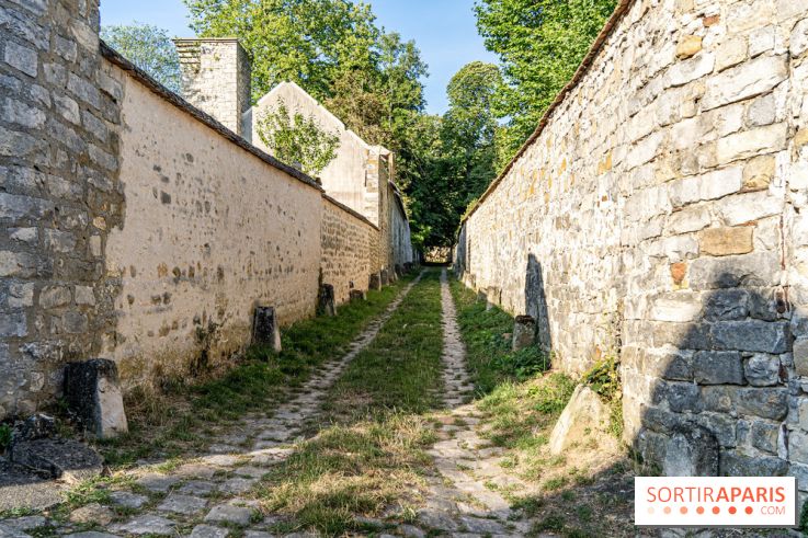 Bourron-Marlotte, village de Seine-et-Marne -  A7C9321