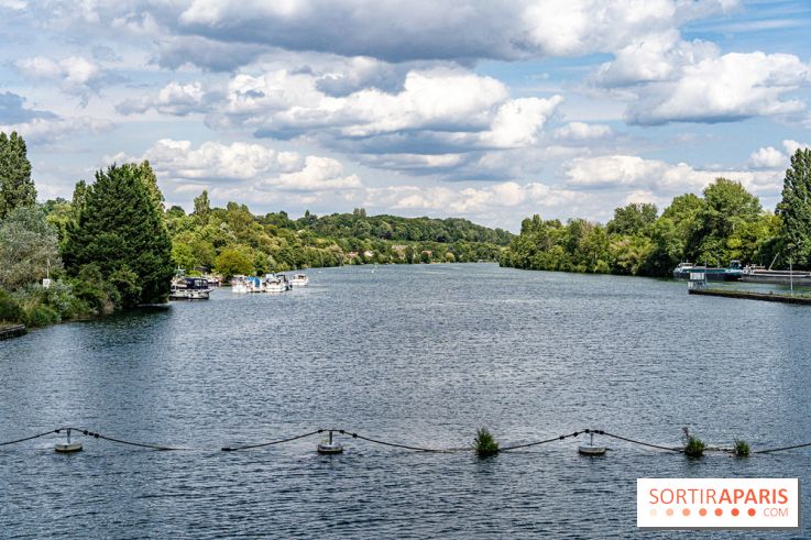 Village de Bois-le-Roi : les Affolantes en bord de Seine -  A7C8869