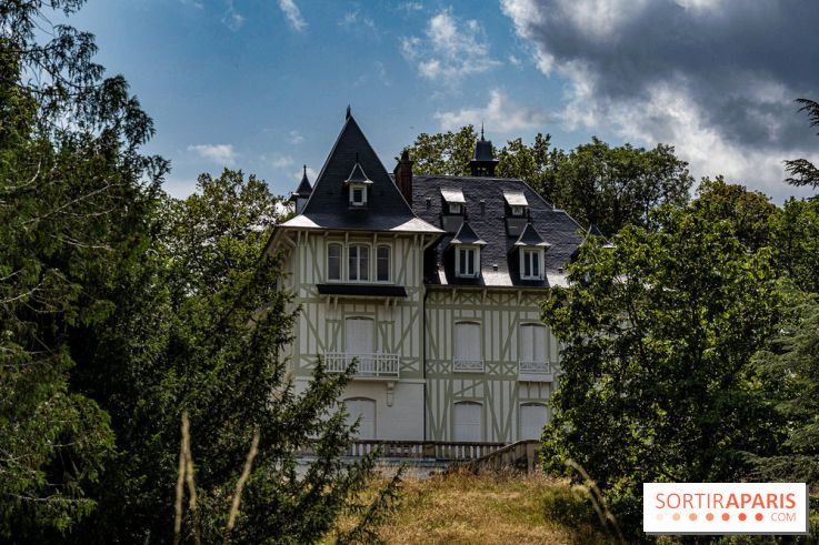 Village de Bois-le-Roi : les Affolantes en bord de Seine -  A7C8848