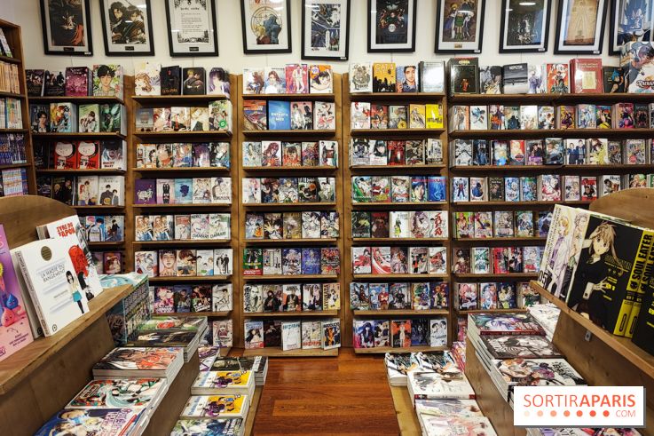 Album Comics Boulevard Saint-germain Paris www.sortiraparis.com
