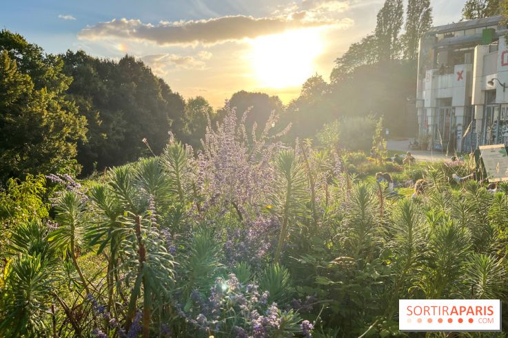 Le parc de Belleville - image00027