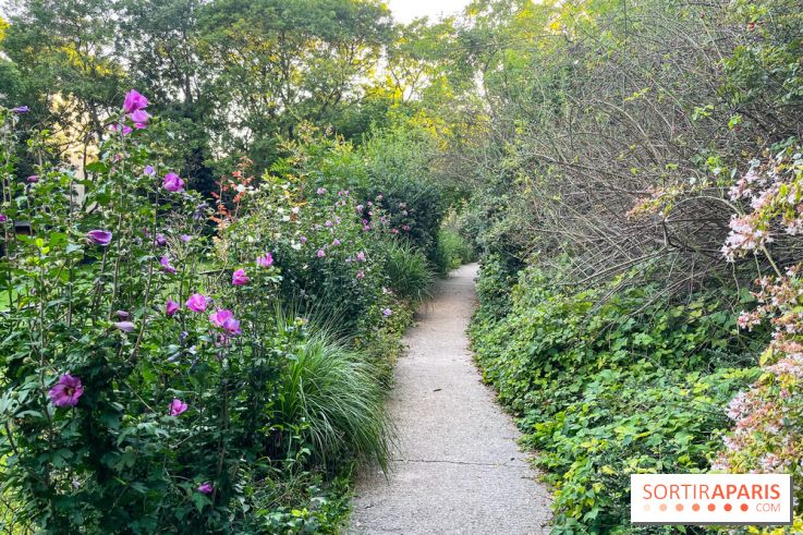 Le parc de Belleville - image00019